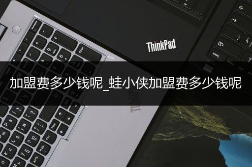 加盟费多少钱呢_蛙小侠加盟费多少钱呢